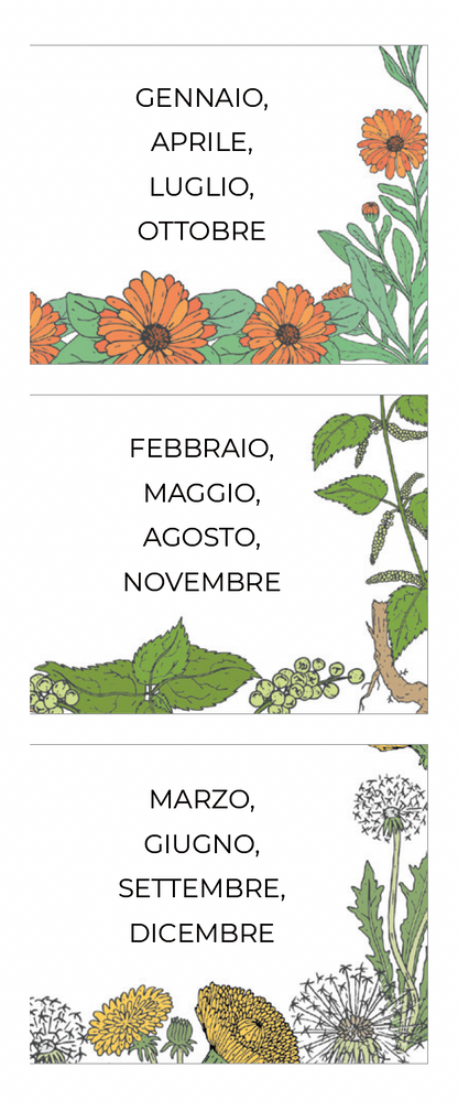 Calendario Piante