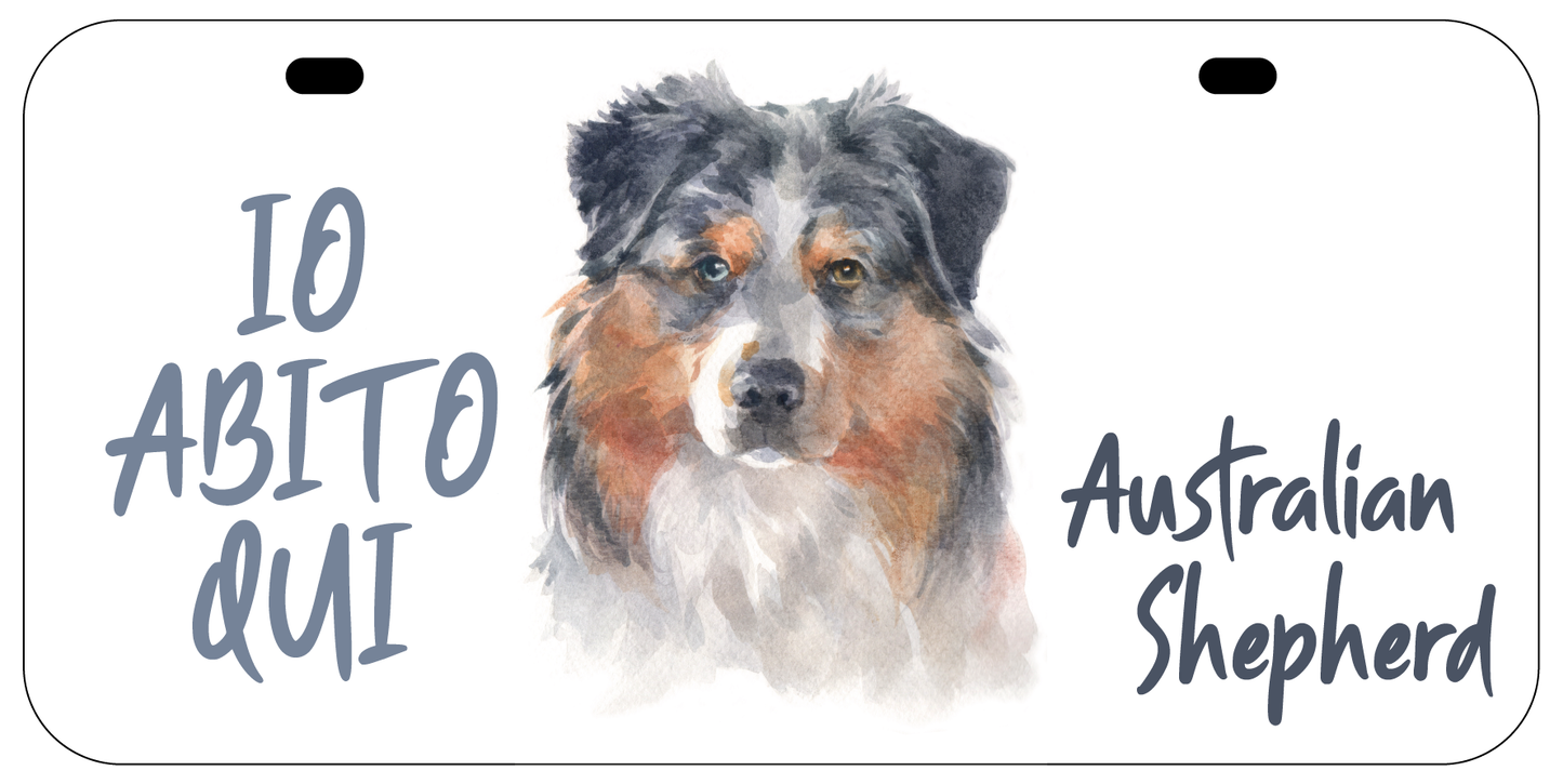 targa cane australian shepherd io abito qui