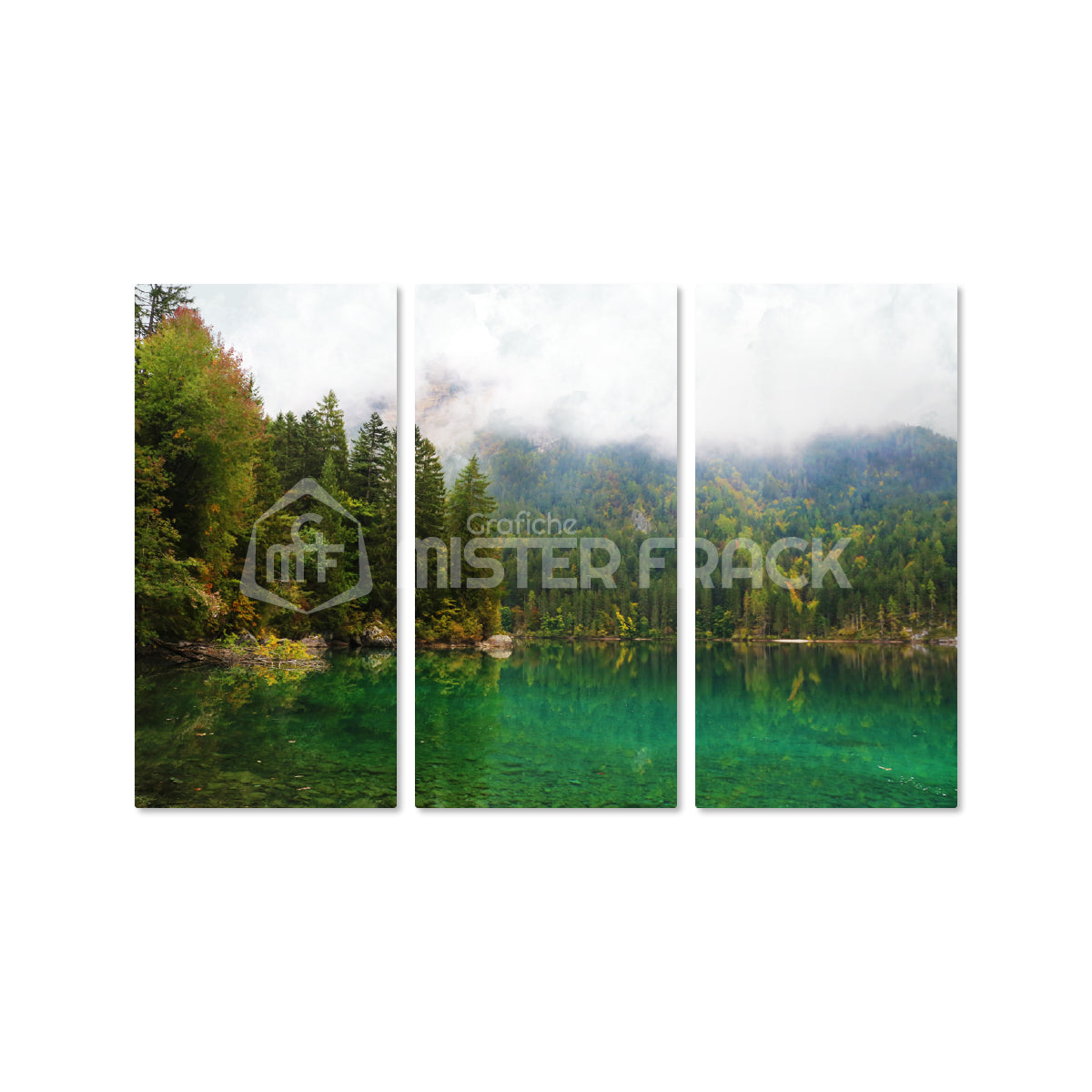 Quadro in tela canvas  Lago di Tovel Trentino Landscape