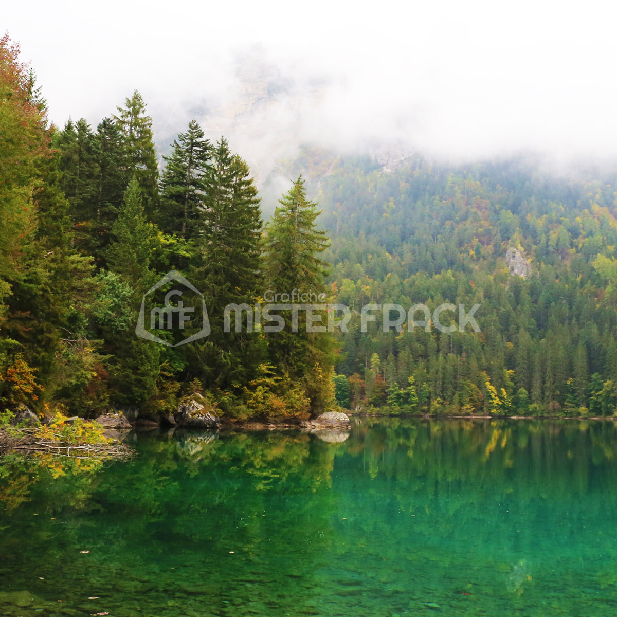 Quadro in tela canvas  Lago di Tovel Trentino Landscape